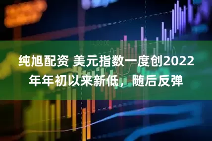 纯旭配资 美元指数一度创2022年年初以来新低，随后反弹