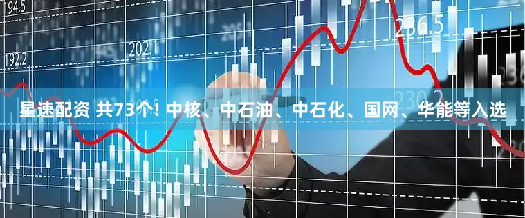 星速配资 共73个! 中核、中石油、中石化、国网、华能等入选