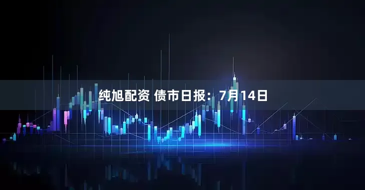 纯旭配资 债市日报：7月14日
