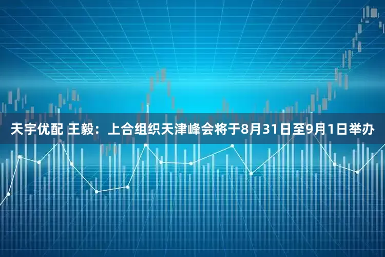 天宇优配 王毅：上合组织天津峰会将于8月31日至9月1日举办