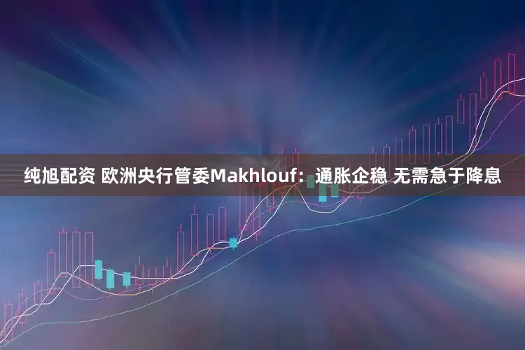 纯旭配资 欧洲央行管委Makhlouf：通胀企稳 无需急于降息